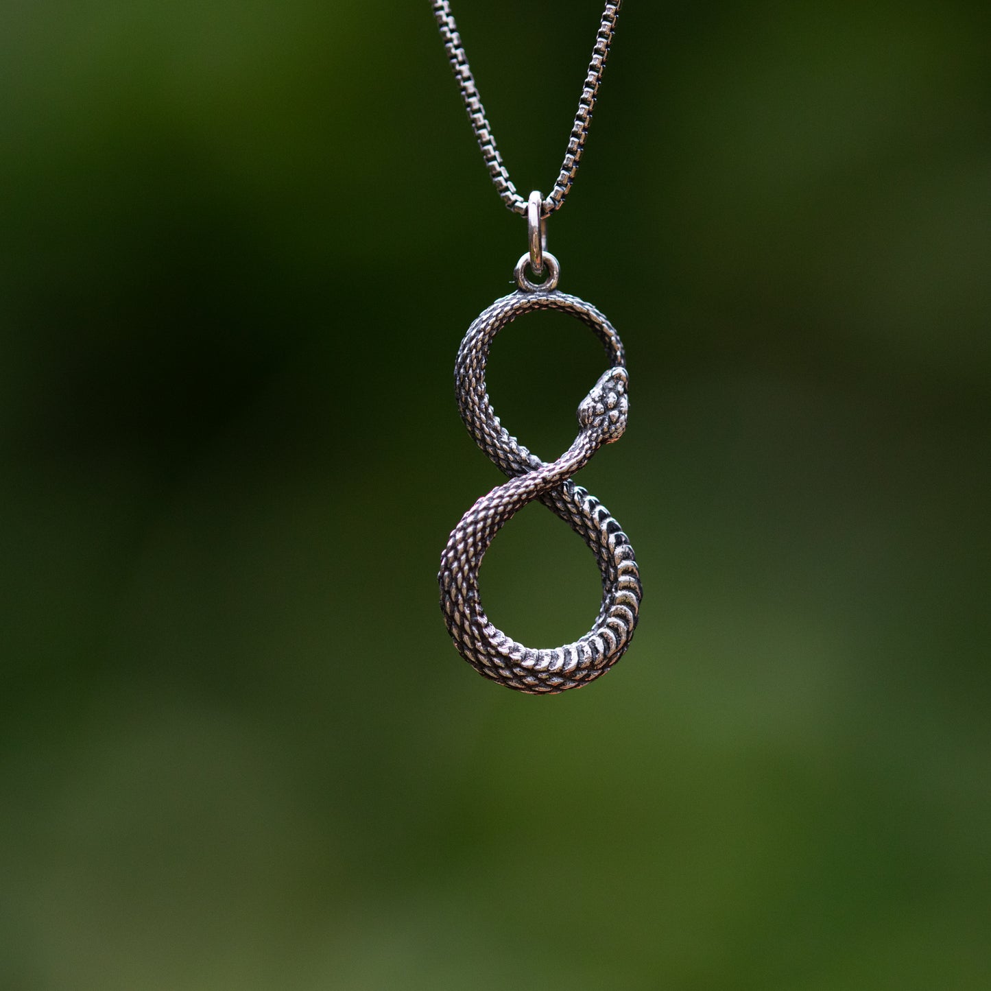 Ouroboros Infinity Snake