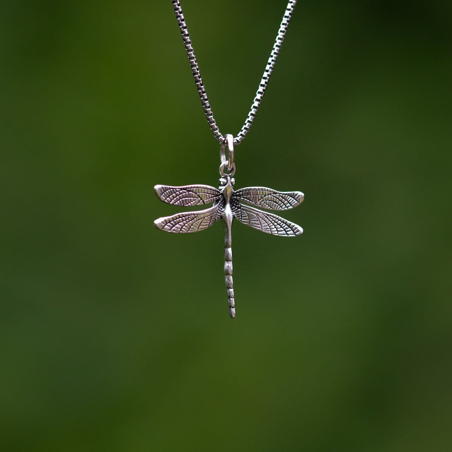Dragonfly