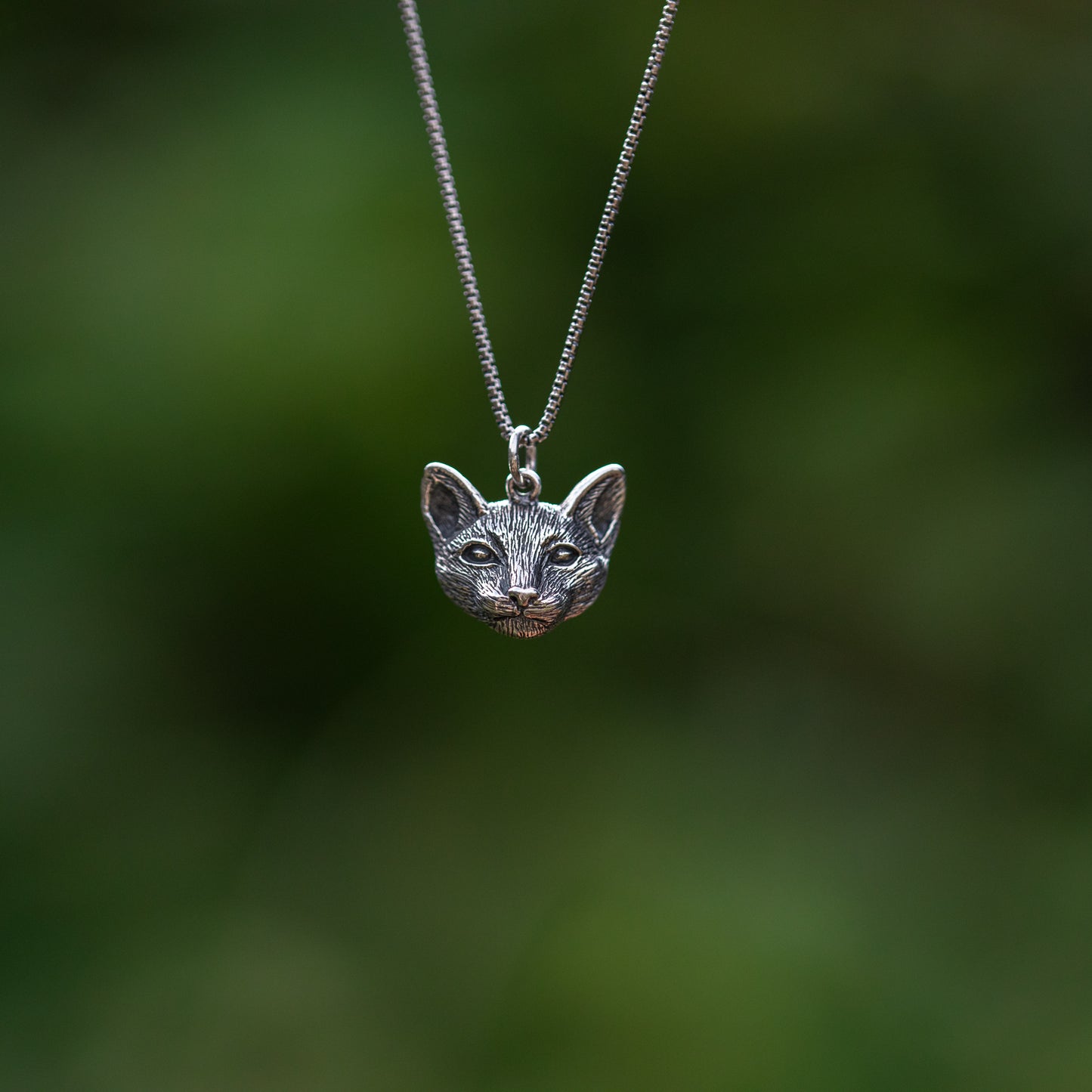 Cat Head