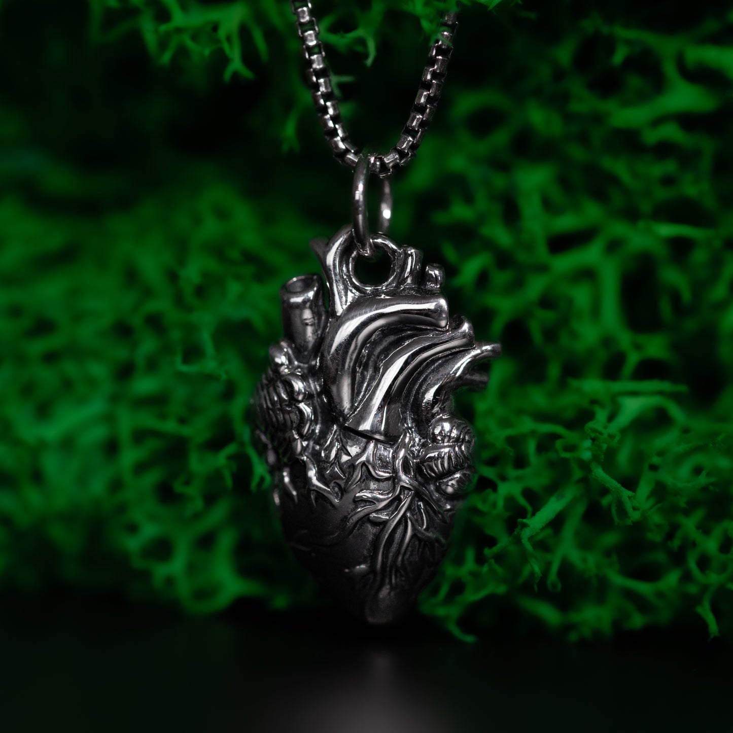 Anatomical Heart