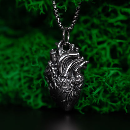 Anatomical Heart