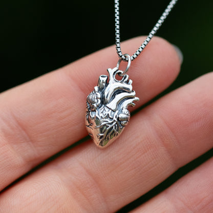 Anatomical Heart