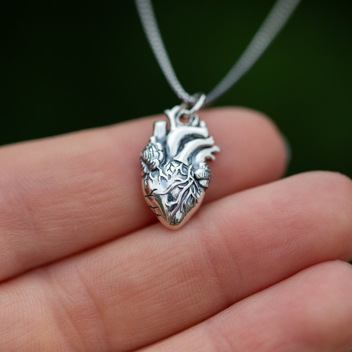 Anatomical Heart