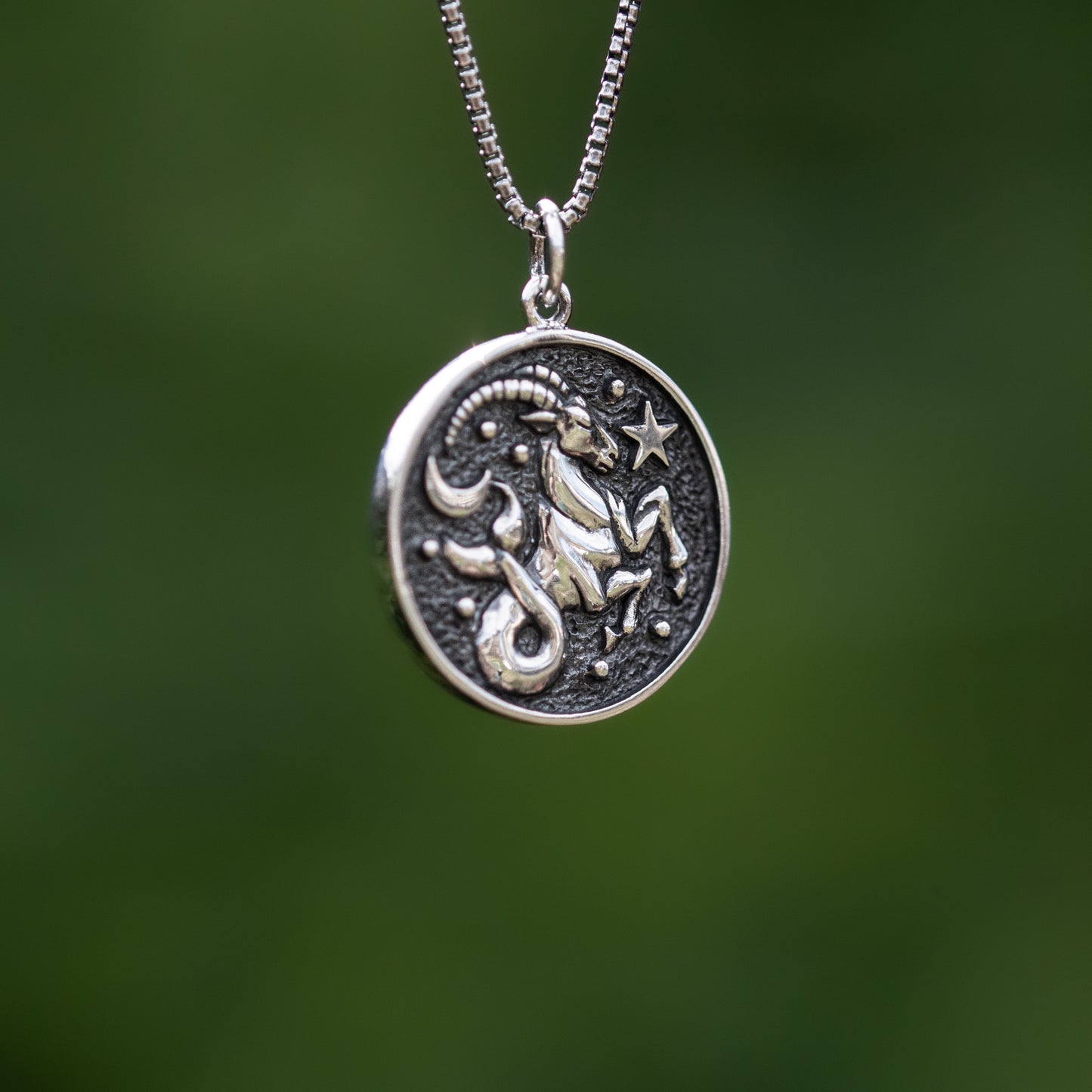 Zodiac Symbol Capricorn