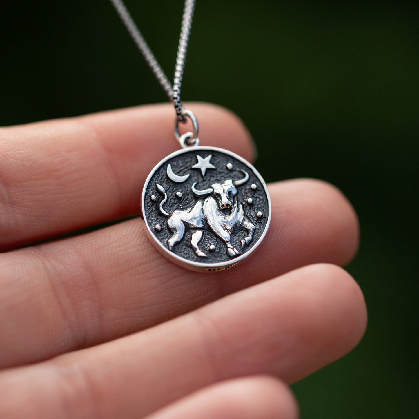 Zodiac Symbol Taurus